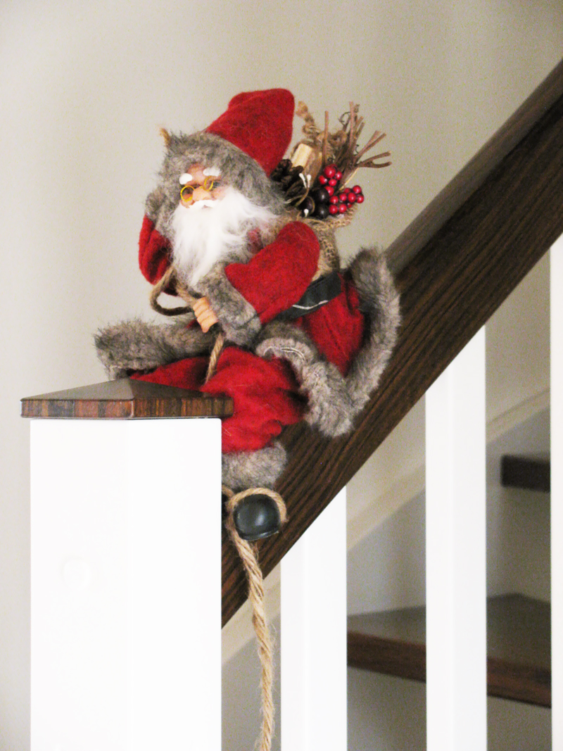 Freudentanz: Weihnachtsfarben