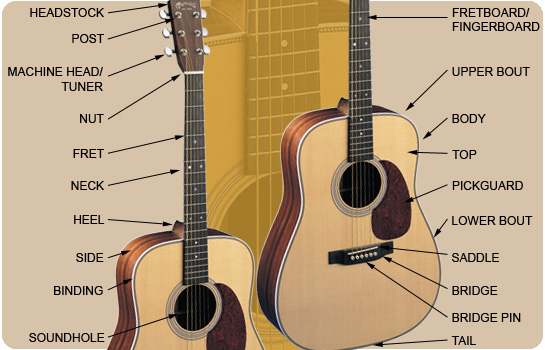 Acoustic Guitar: The Structure of the Guitar