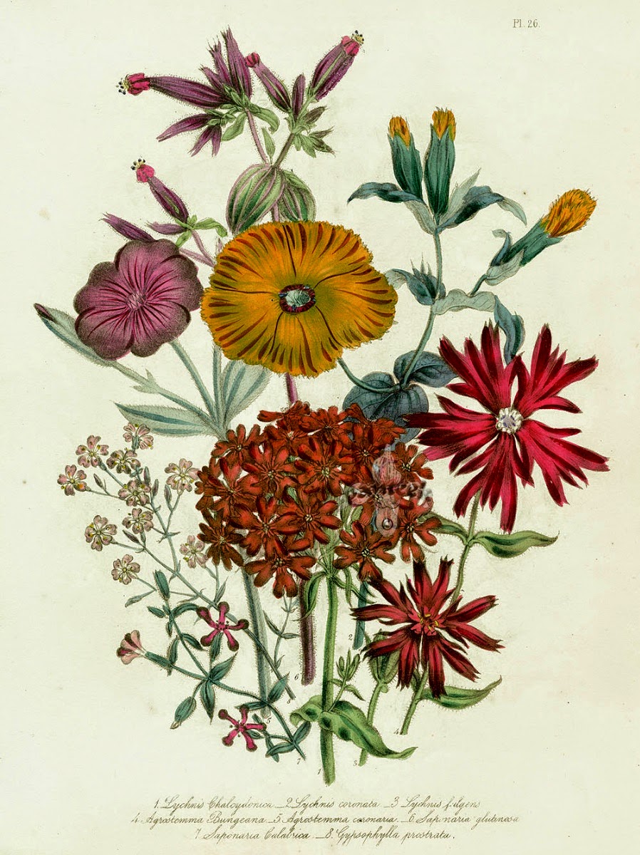 Infotainment @ www.keralites.net Fun & Info @ Keralites.net