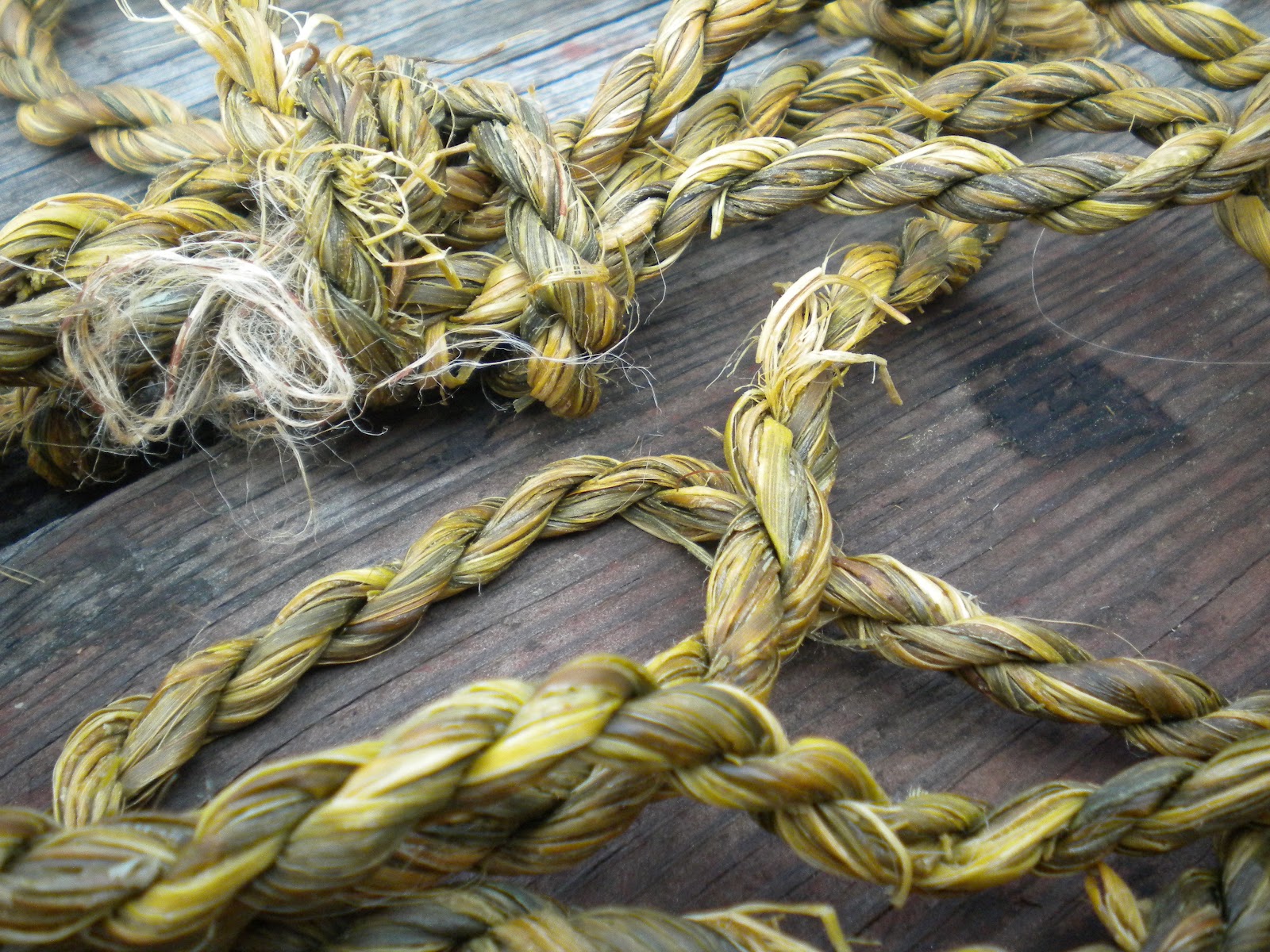 Rosemary's Sampler Primitive Skills Cordage