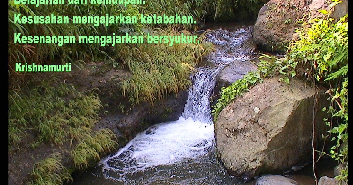 Image Result For Kata Mutiara Islami Tentang Buku Image Result For Kata Mutiara Islami Tentang Buku