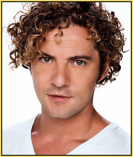 David Bisbal.