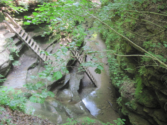 The Schramm Journey Turkey Run State Park