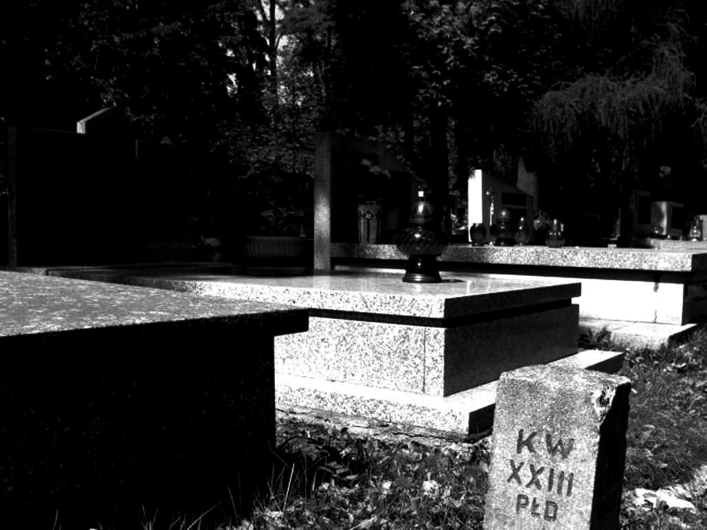 Confusio Linguarum Georg Trakl The Harbinger Of A Hushed Apocalypse