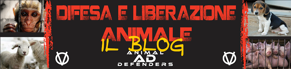 ANIMAL DEFENDERS, il blog
