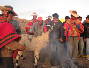 Celebracion del Año nuevo Andino