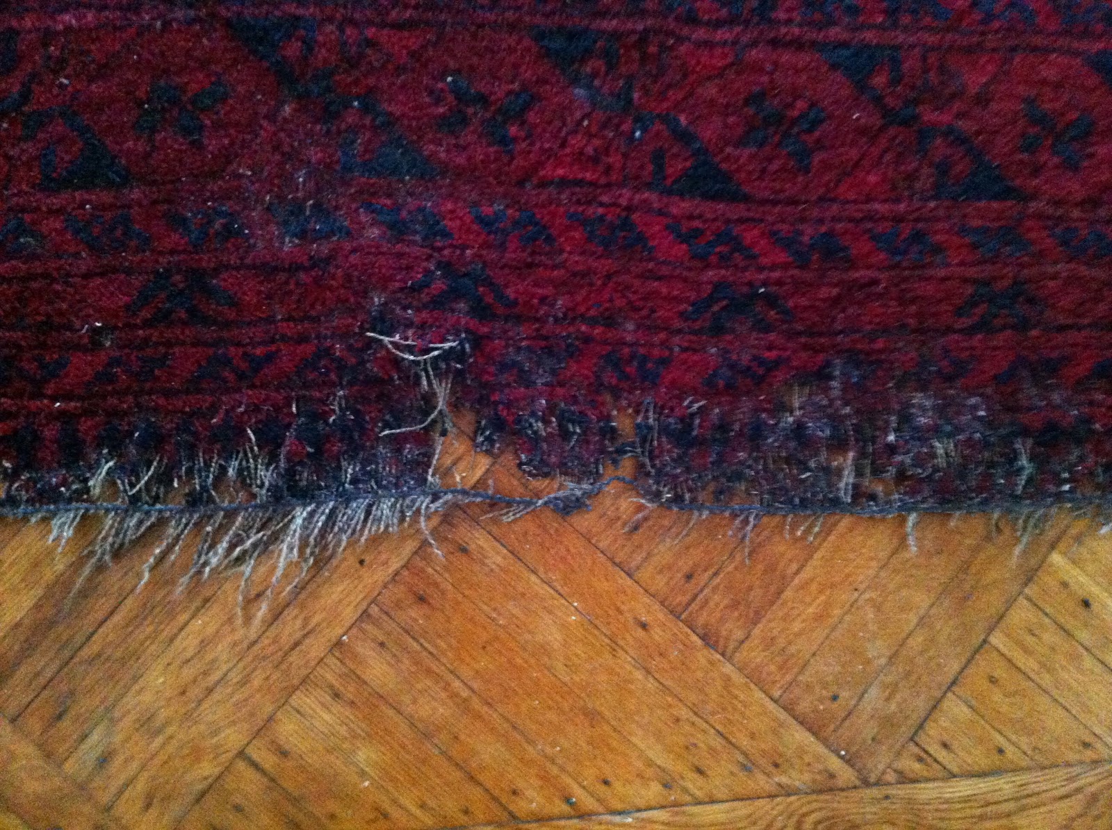 Kosker Traditional Rug Repair What to do if you spot moths in your
