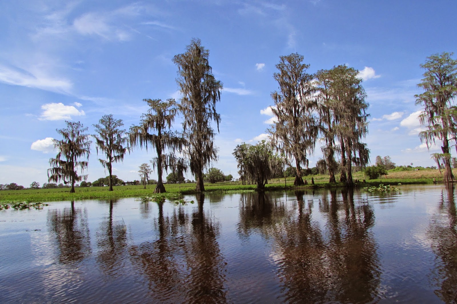 Happy Kayaker & Traveler Arbuckle Creek Part Deux