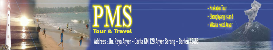 PMS Tour and Travel Anyer