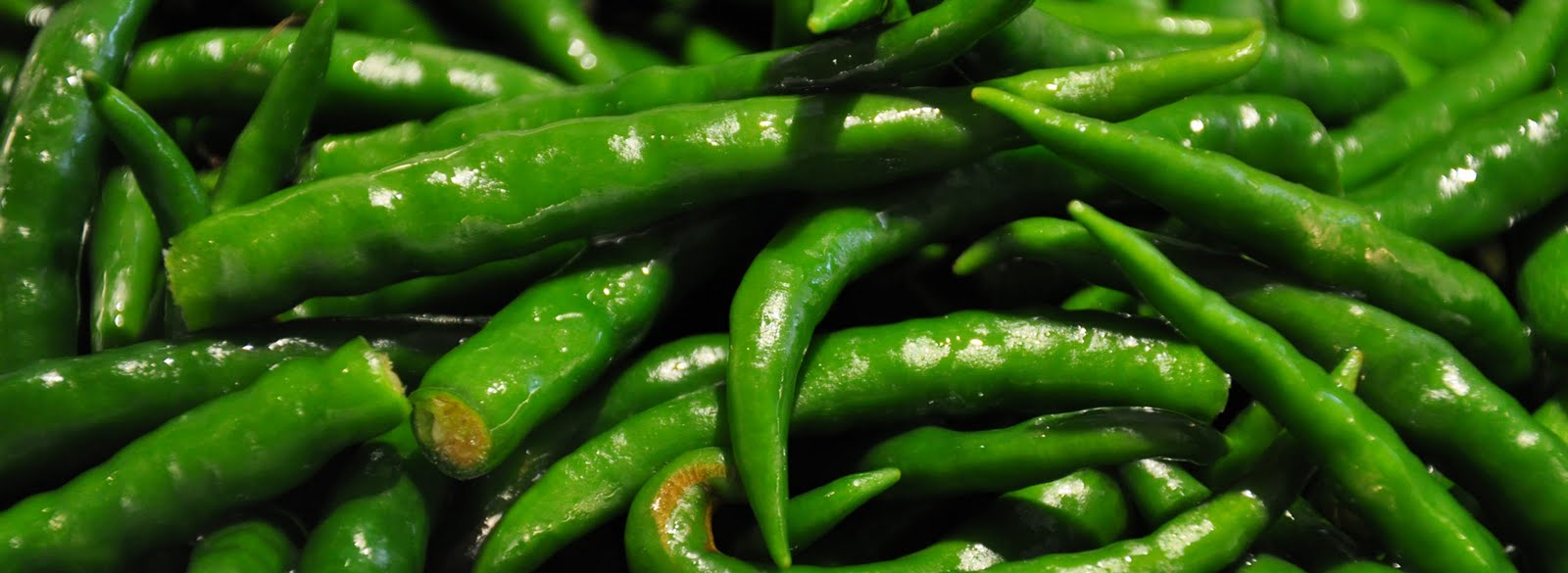 Fire and Food 45 Indian Chillies in a Jar