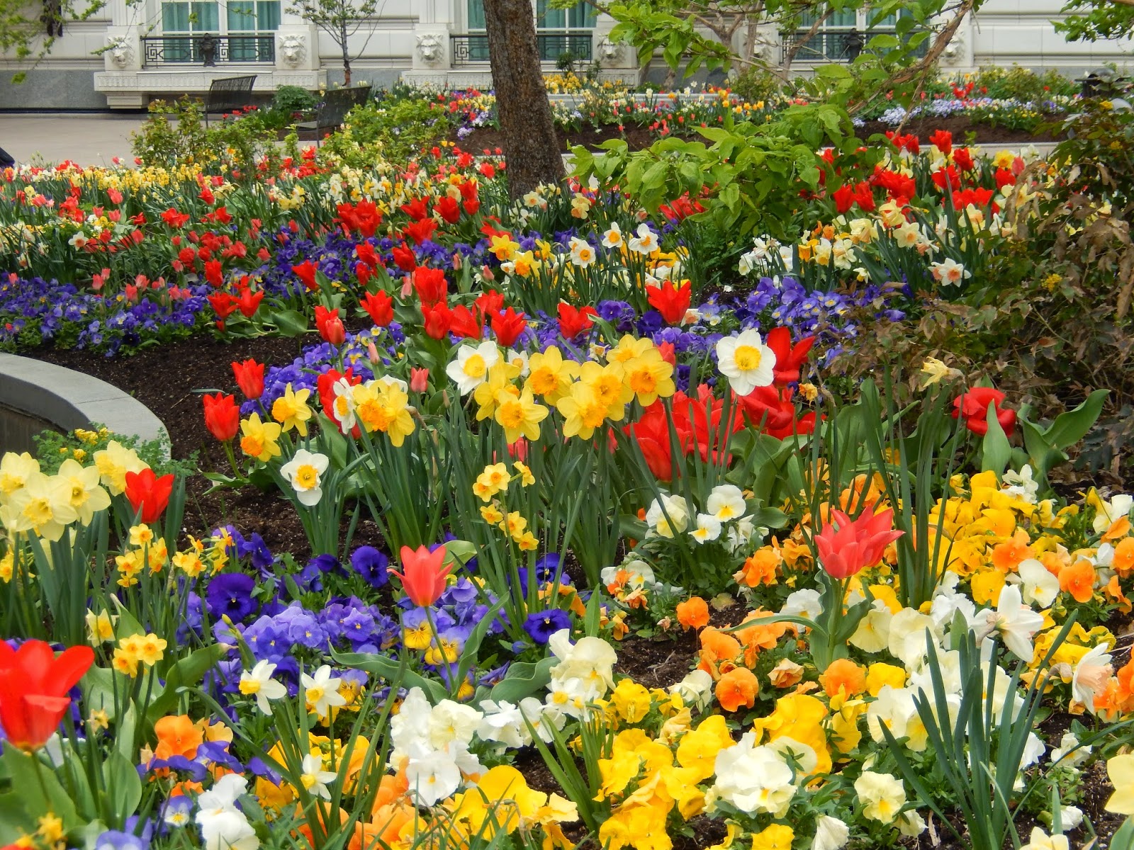 The French Tangerine the most amazing garden tour ever
