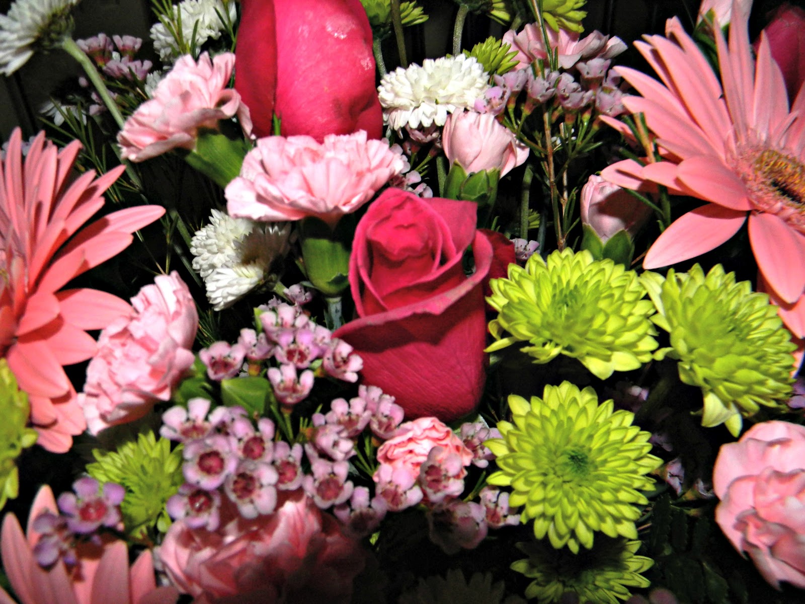 Any Beautiful Flowers