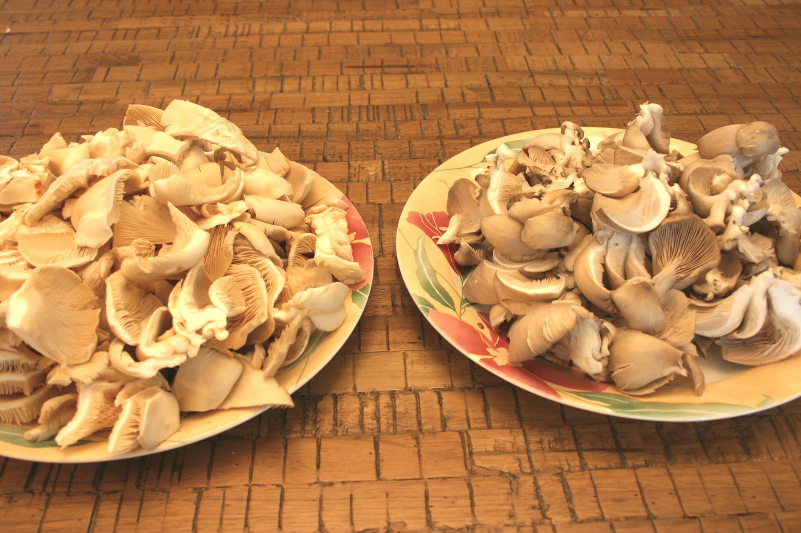 Effortnesslessly Oyster Mushrooms Omelet