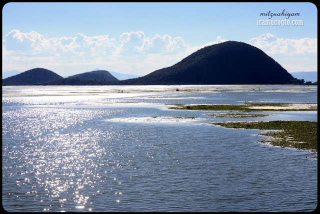 Brillo en la laguna de Cuitzeo Iramuco Guanajuato