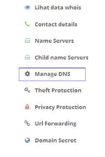 manage DNS