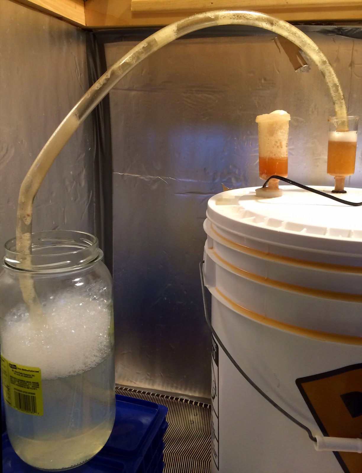 The Screwy Brewer Brewing The Scottish Wee Heavy