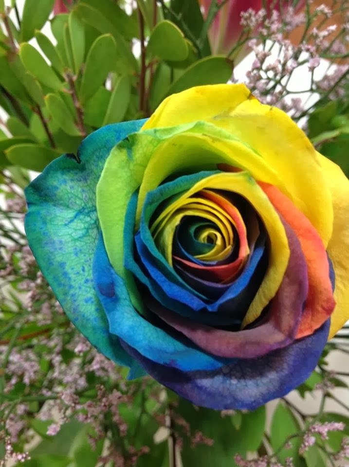 Flower Homes Rainbow Roses