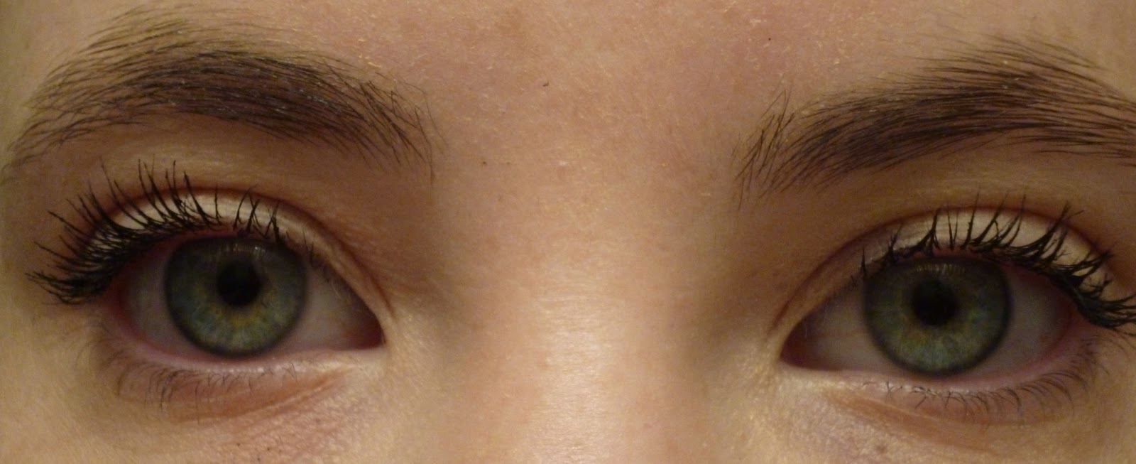 Lashblast Fusion Review