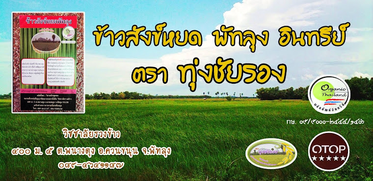 ข้าวสังข์หยดพัทลุง อินทรีย์ ตราทุ่งชัยรอง