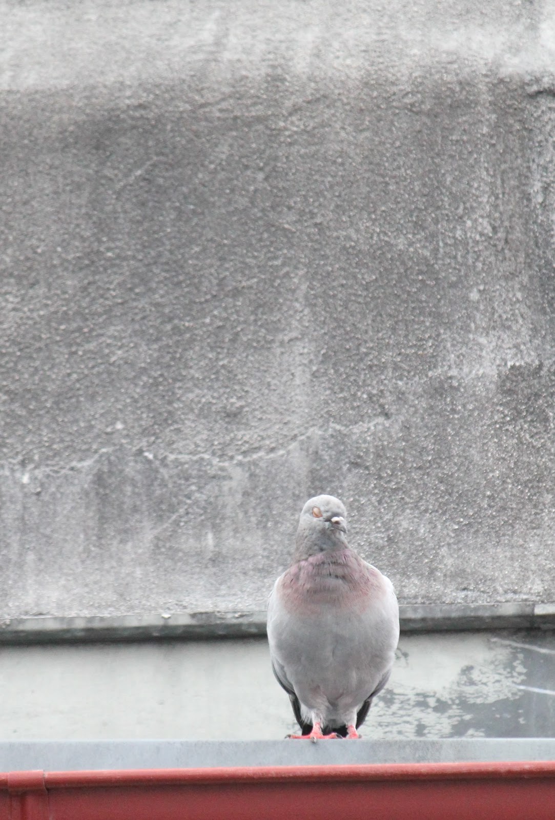 lastmanagement bei zeitvariabler elektrizitätspreisbildung in industriebetrieben