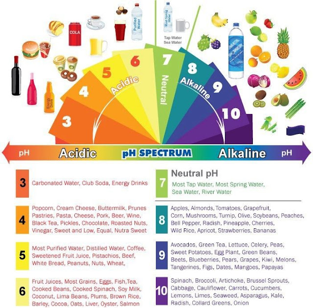 acidic vs alkaline chart 