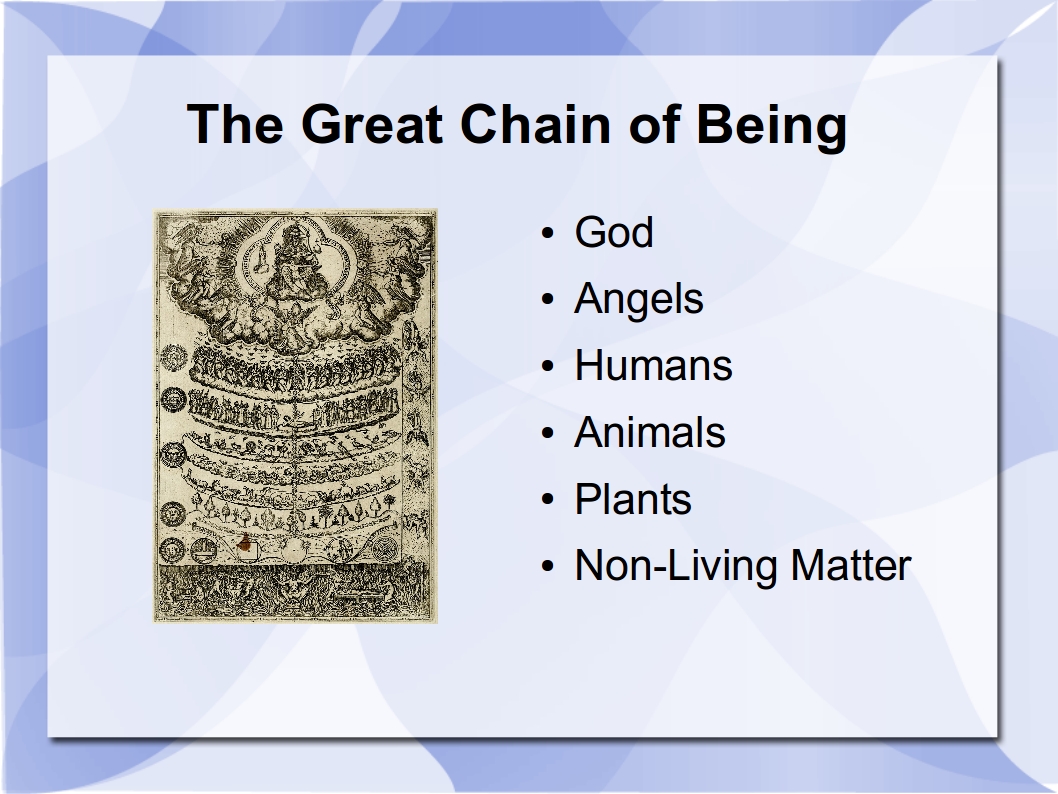 Right in Other Ways Hierarchical vs. Radiant