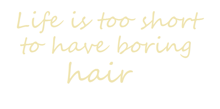 Life is too short to have boring hair