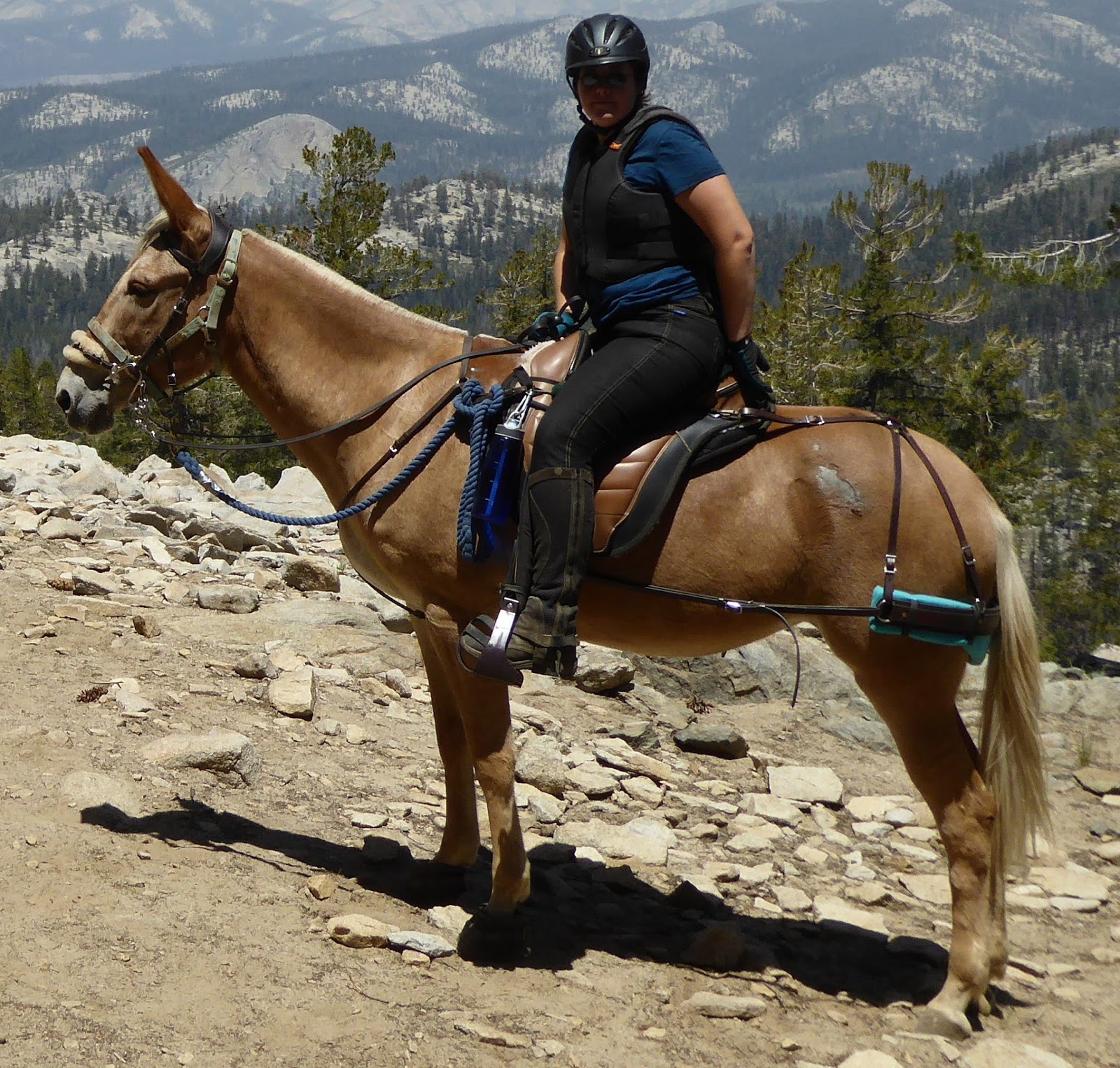 Do It Yourself How to Make Breeching Padding DIY Horse Ownership
