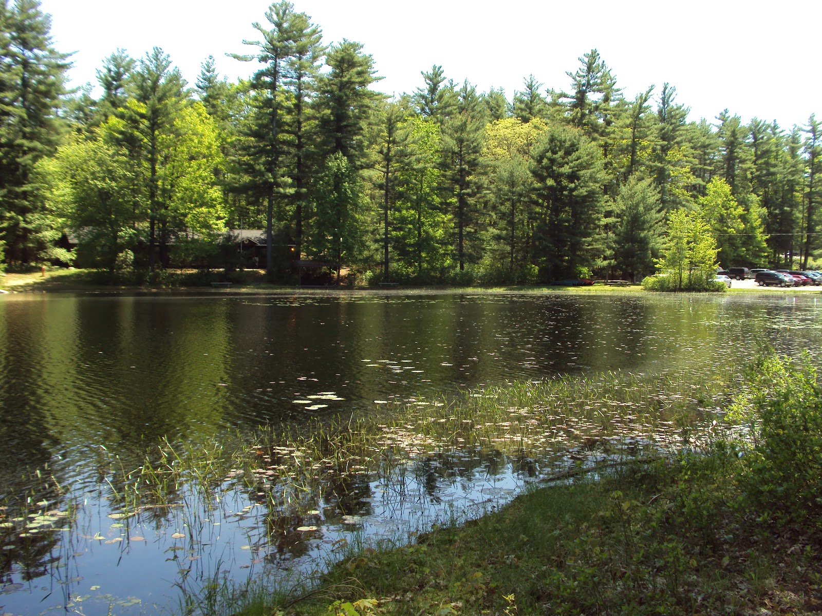 Oltreoceano Camp Carpenter, NH, sabato 19 maggio 2012(prima parte)