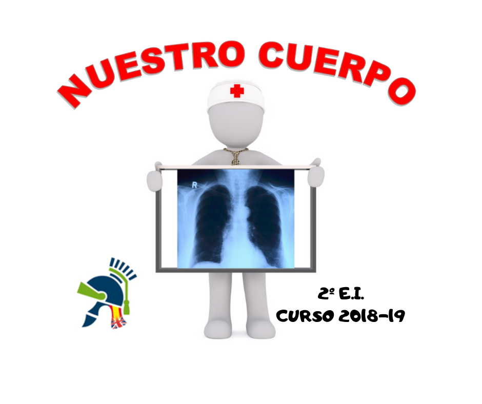 Proyecto "Nuestro cuerpo"