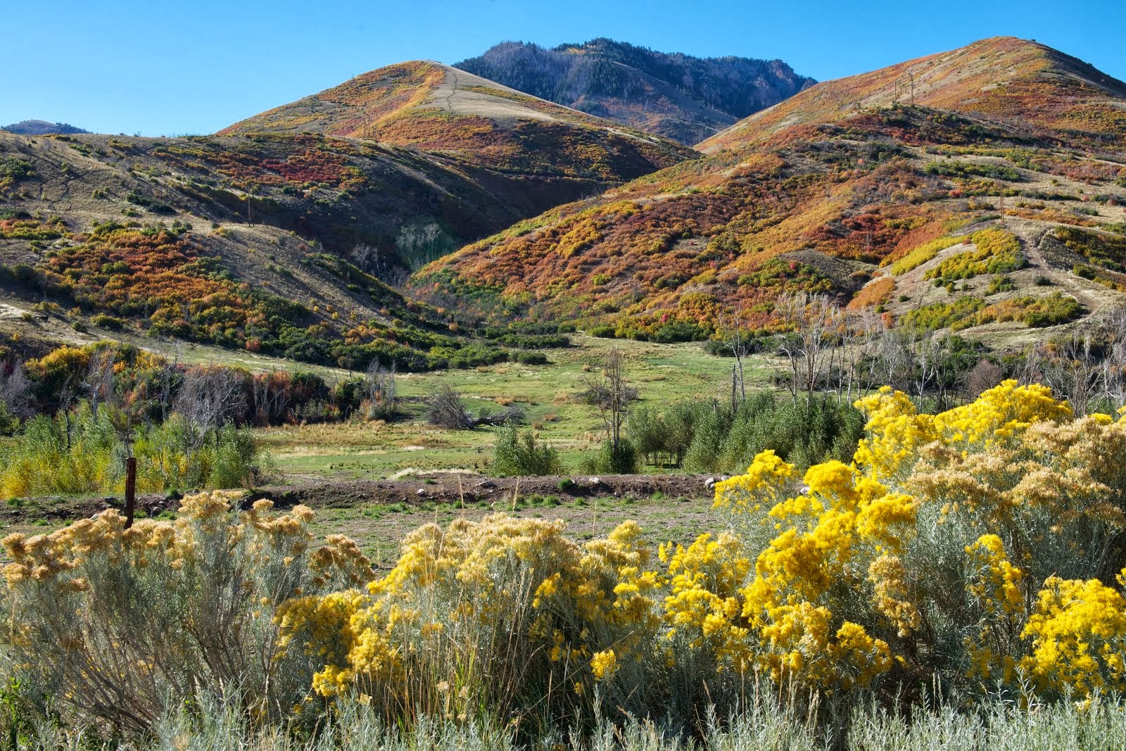 Salt Creek Canyon