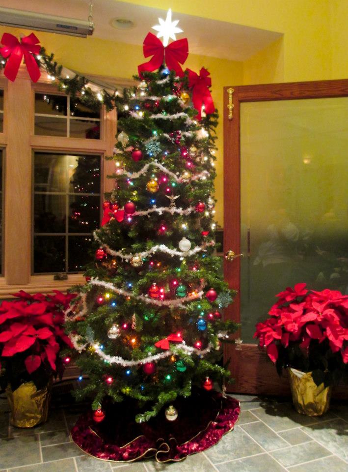 awesome picture of used christmas trees for sale awesome picture of used christmas trees for sale