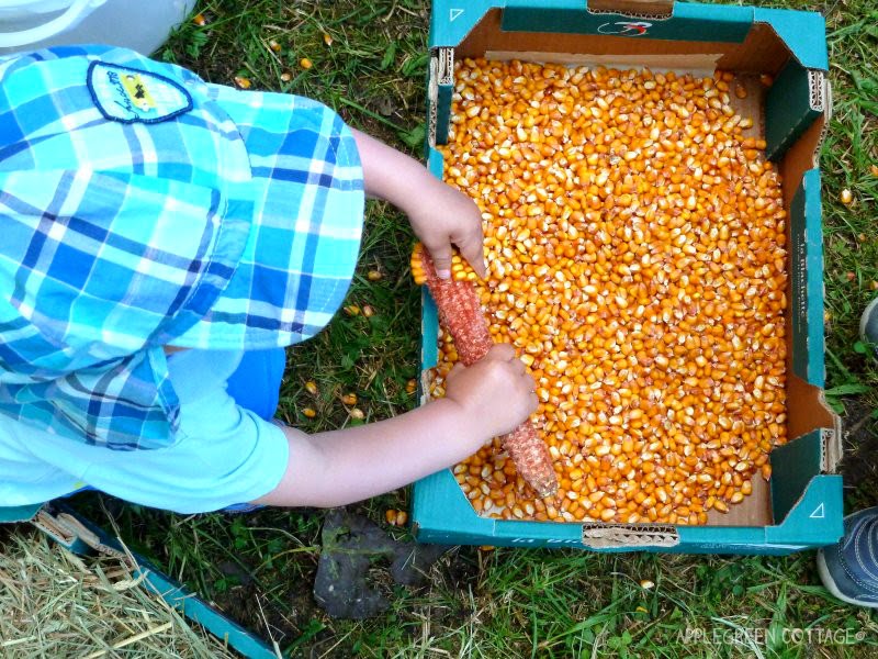 Play, kids, play AppleGreen Cottage