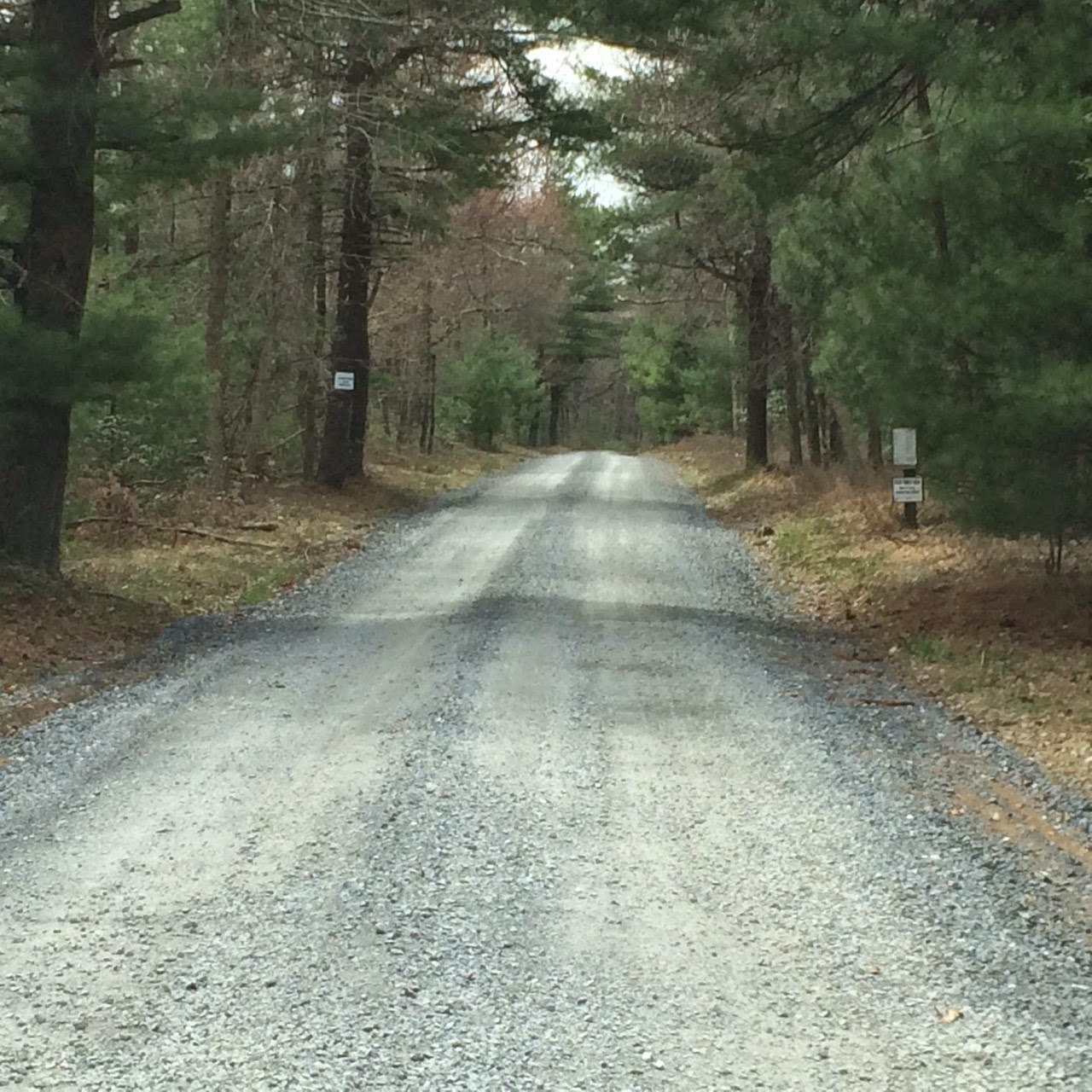 Trip Report Exploring Pennsylvania’s Michaux State Forest East Coast
