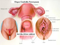 Cervical Cancer