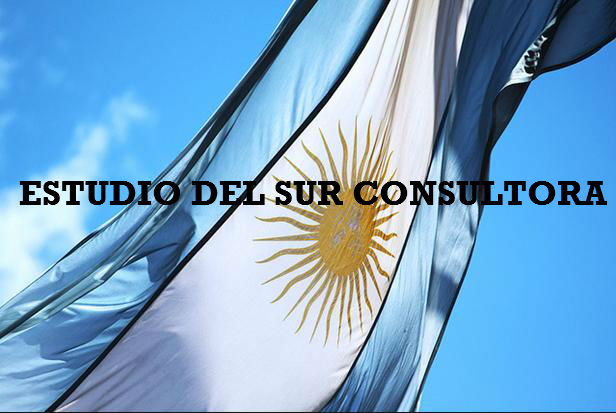 ESTUDIO DEL SUR CONSULTORA