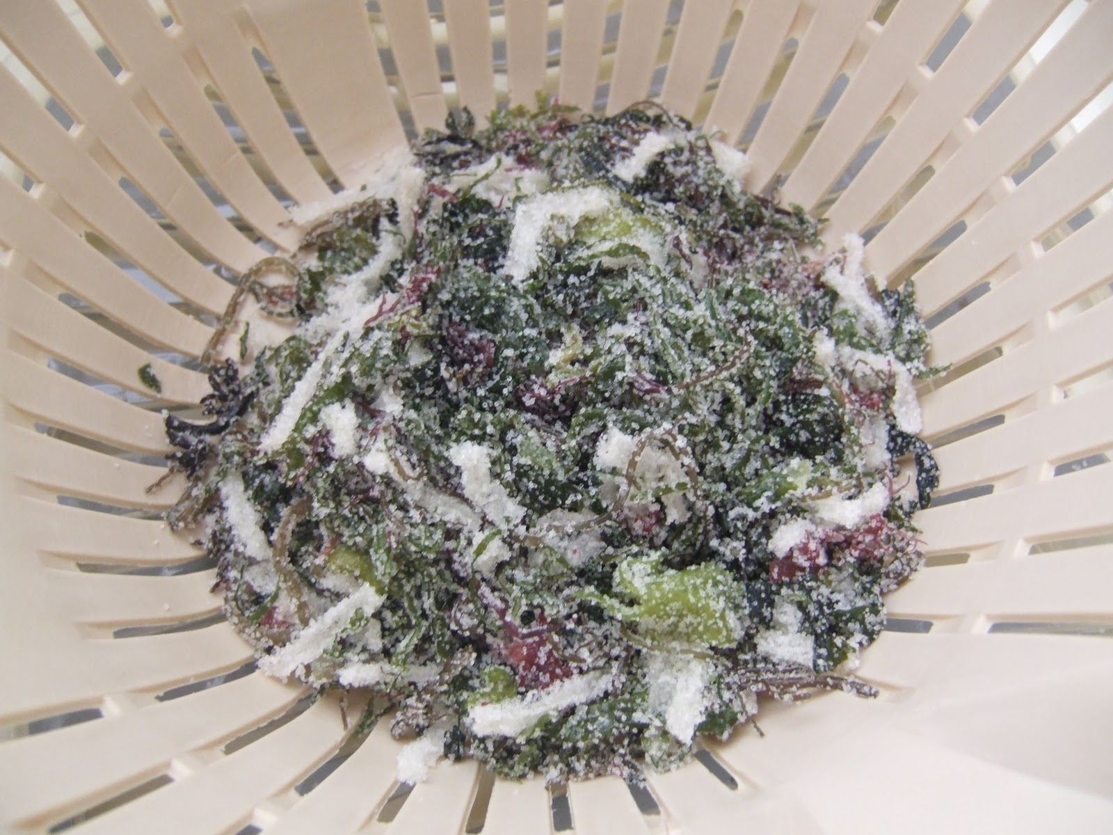 Anita's Health Blog Amaranth & Sea Vegetable recipe