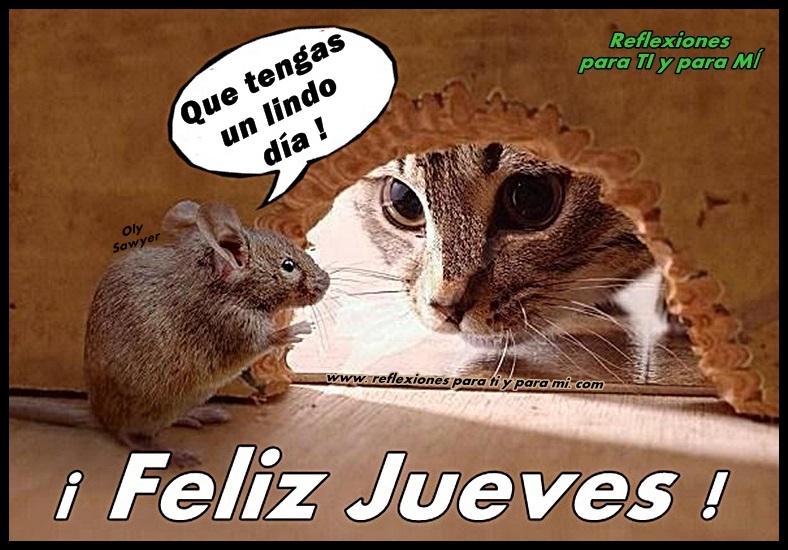 Imágenes lindas y bellos mensajes para decir hola jueves Buenos Deseos para TI y para MÍ: * Que tengas un lindo día ! ¡ Feliz