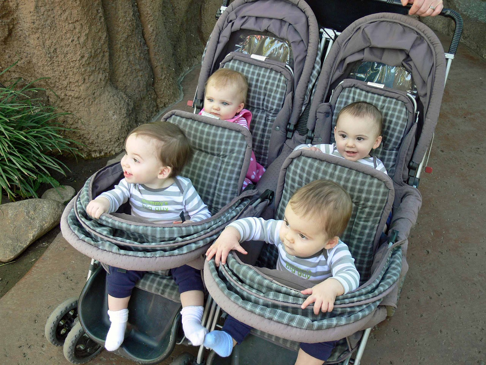quadruplet baby stroller
