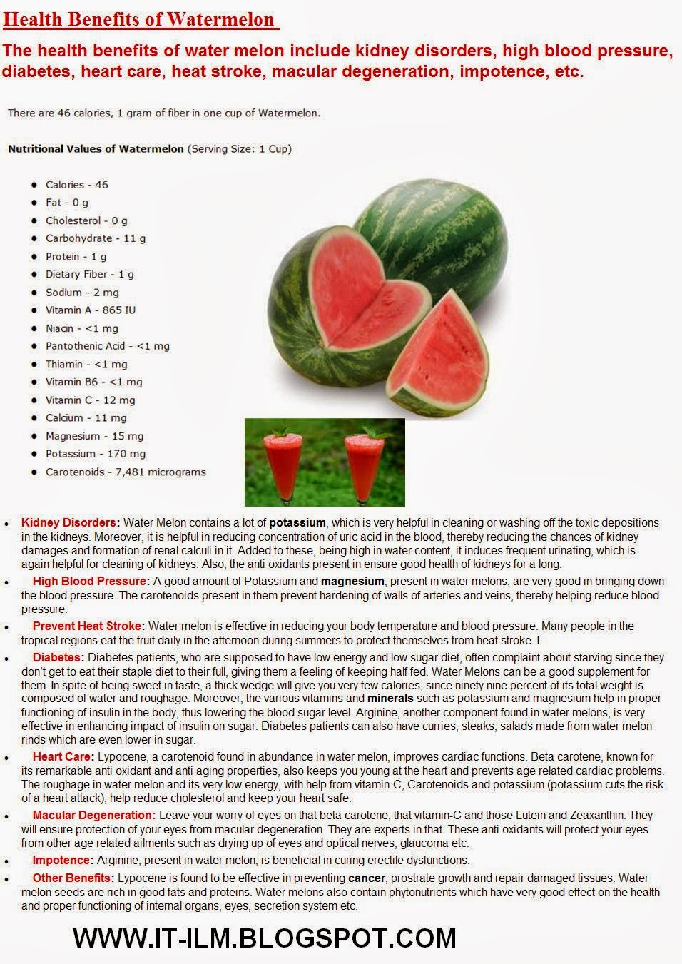 News Entertainment Tips Health Tips Islamic History Horoscopes