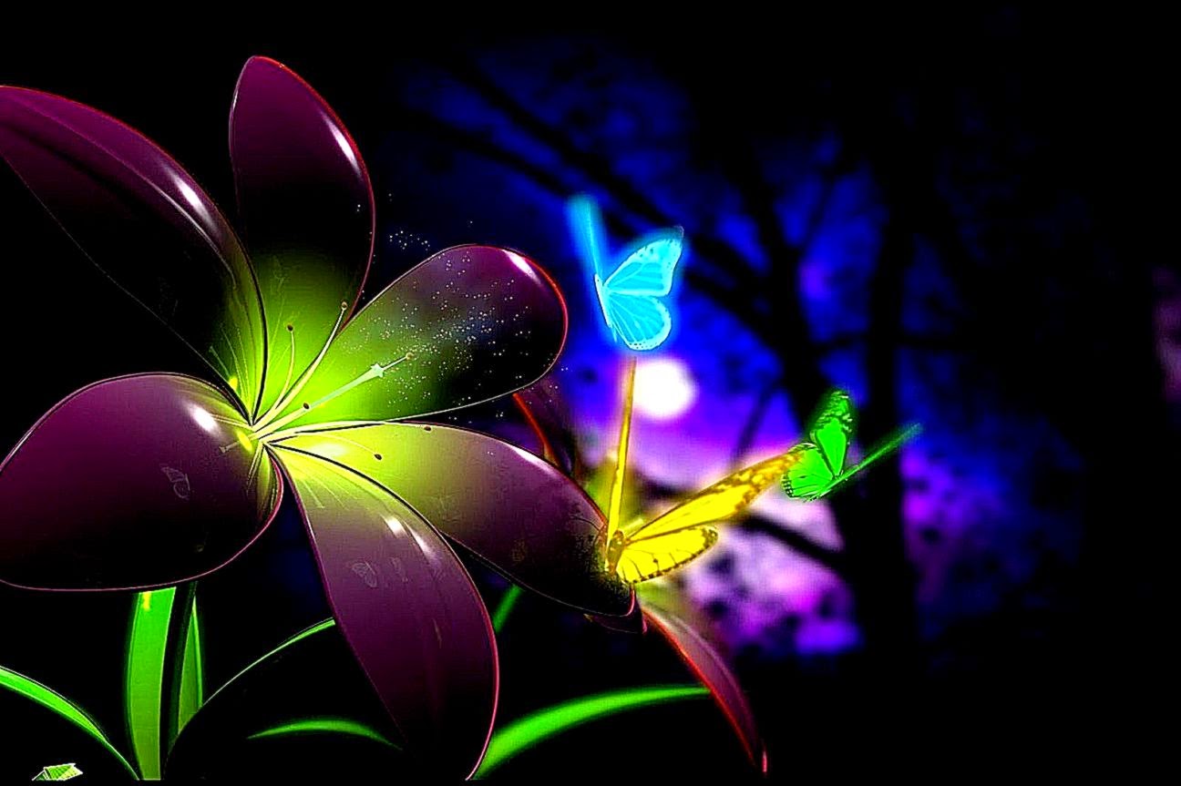 Colorful Butterfly 8654 Desktop Backgrounds Areahd Colorful Butterfly 8654 Desktop Backgrounds Areahd