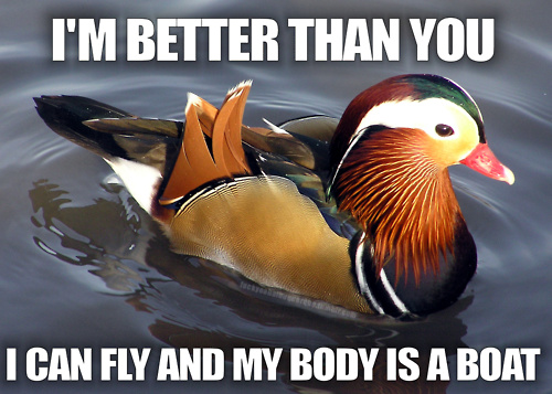 BETTERi-am-better-than-you-in-every-way-duck.png