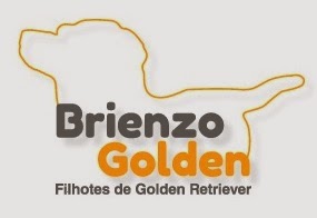 Brienzo Golden