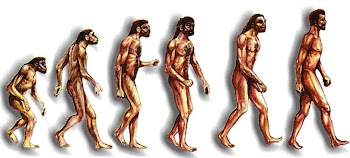 Evolución del Hombre