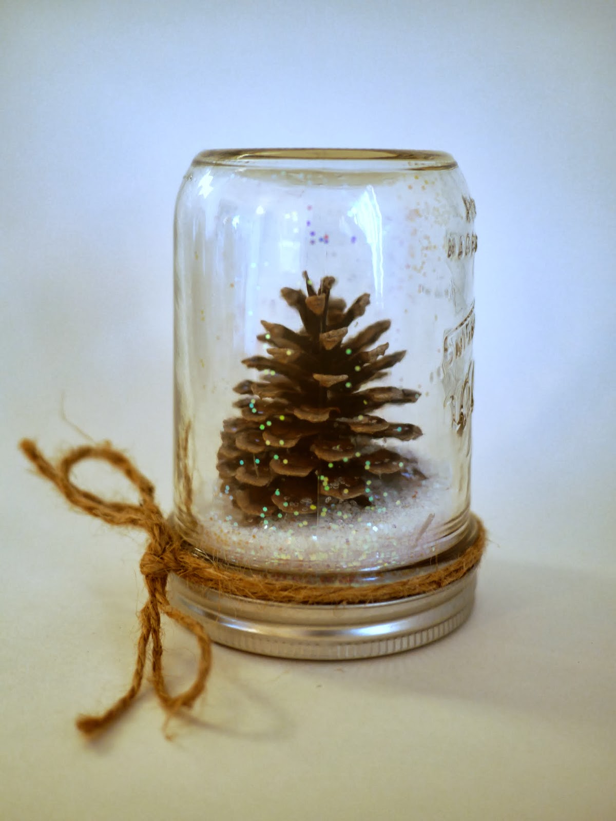 Pine cone snow globe