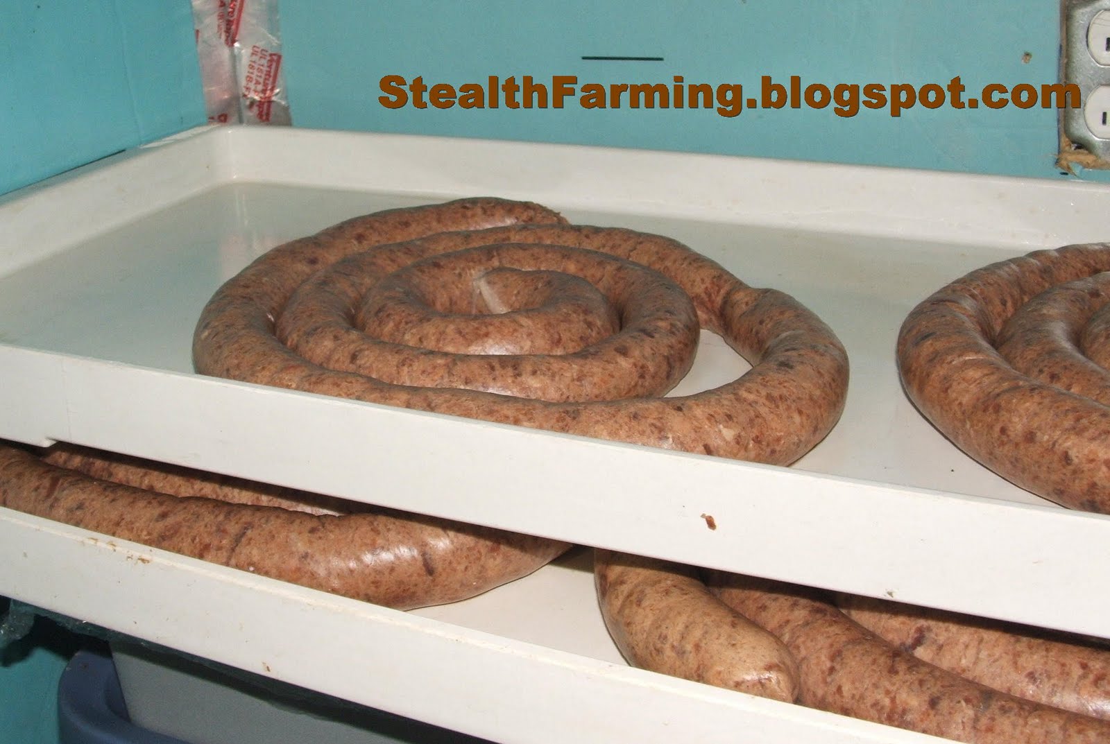 Stealth Farming Cooking German Ring Bologna