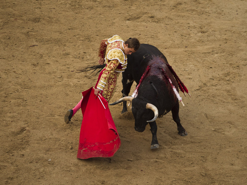 Buletin Cinta: Inilah Photo Perlakuan Kejam Matador Pada 