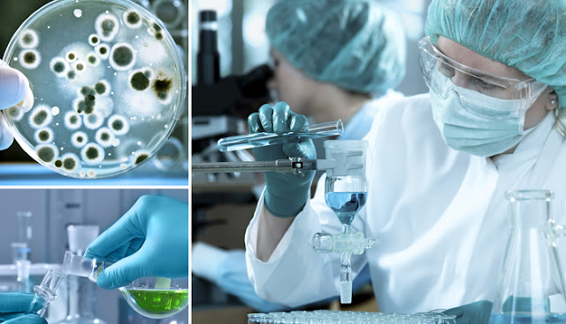 Investigacion_desarrollo