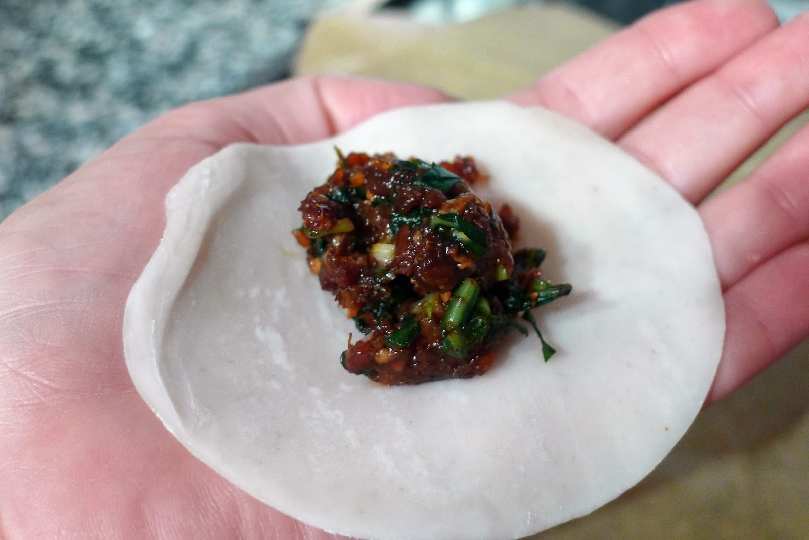 Culinary Adventures in London Pork & Ginger Gyoza with Dipping Sauce