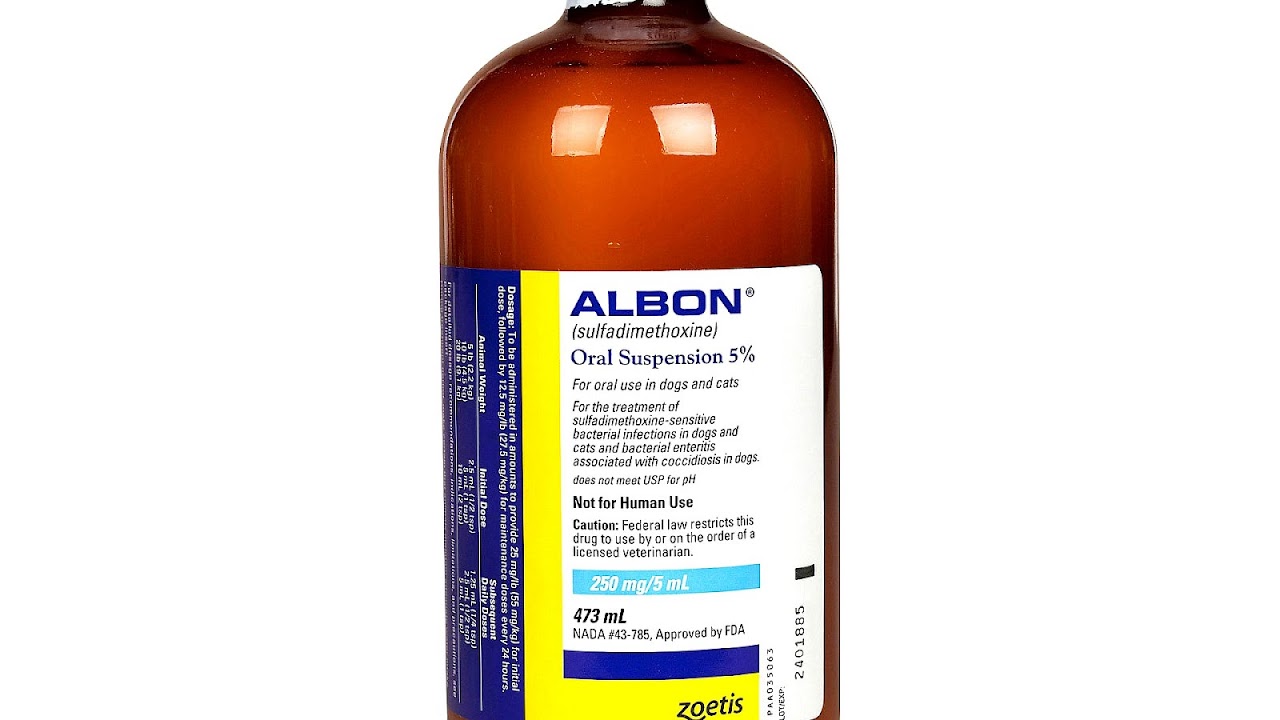 Vetsulin To Novolin N Conversion Chart